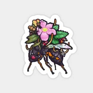 Eurytoma and Rose Sticker